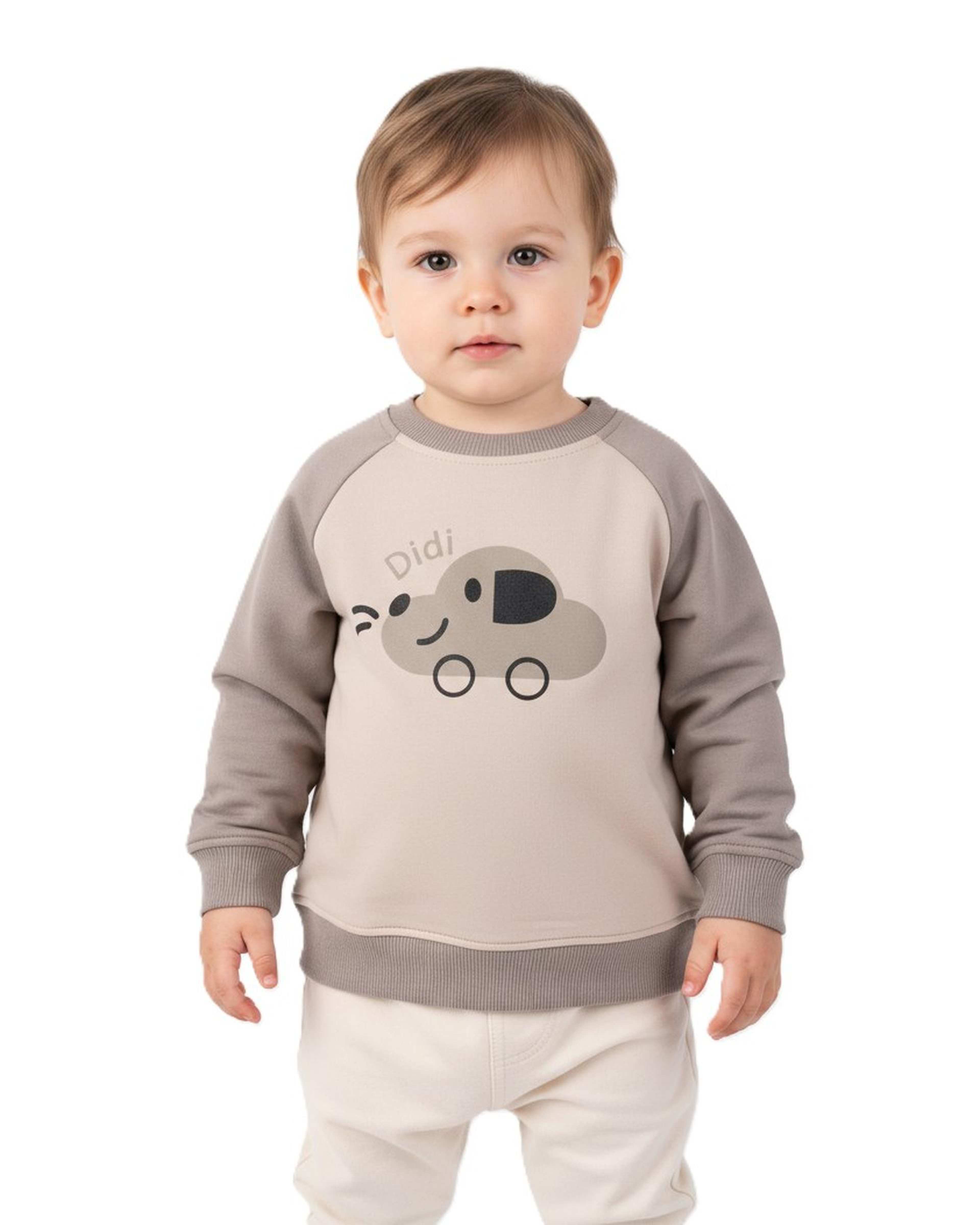 سویشرت پسرانه نوزادی طوسی مرینو Merino مدل DIDI کد 1830