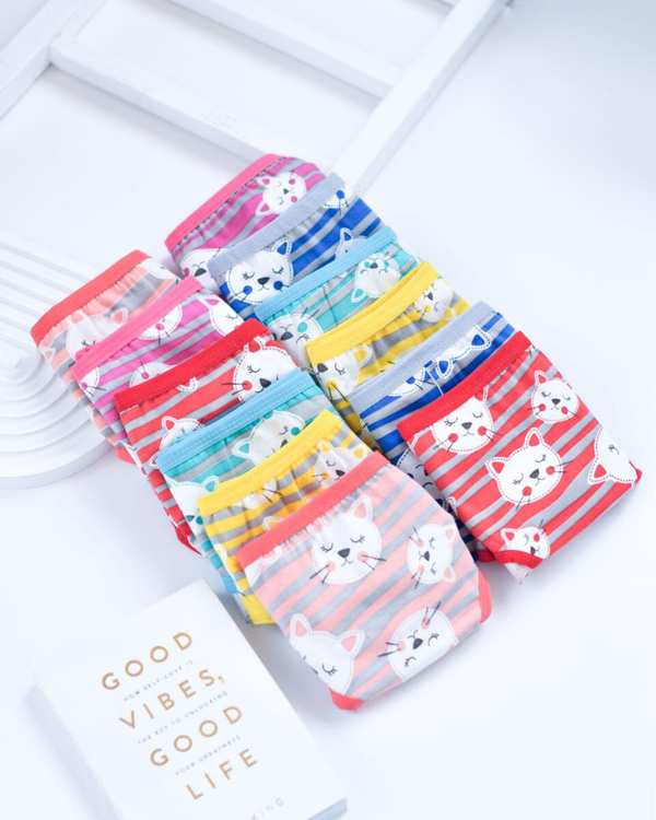 شورت گربه بلا n-1189(سایز 44تا48)2XL ماییلدا
