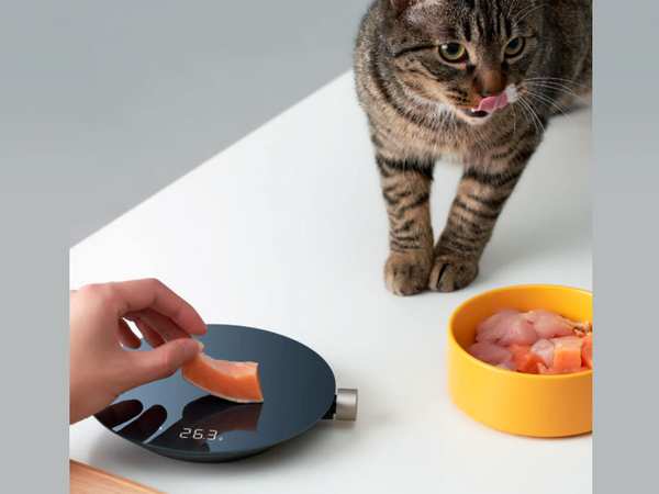 ترازوی آشپزخانه هوشمند شیائومی Xiaomi HOTO Monkey Smart Kitchen Scale QWCFC001 - تصویر 10