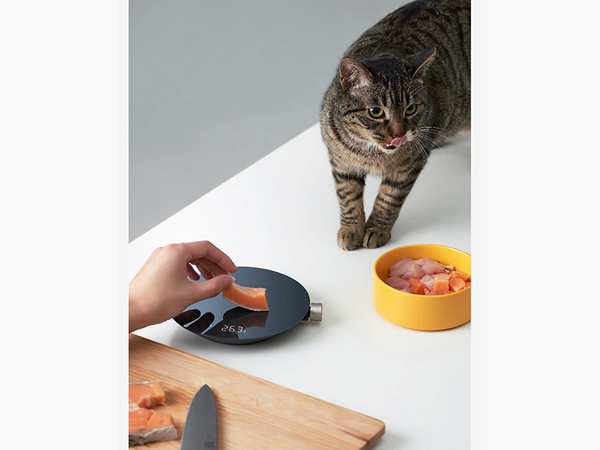 ترازوی آشپزخانه هوشمند شیائومی Xiaomi HOTO Monkey Smart Kitchen Scale QWCFC001 - تصویر 11