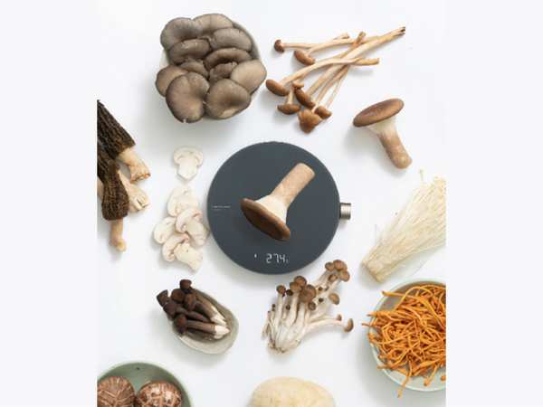 ترازوی آشپزخانه هوشمند شیائومی Xiaomi HOTO Monkey Smart Kitchen Scale QWCFC001 - تصویر 15