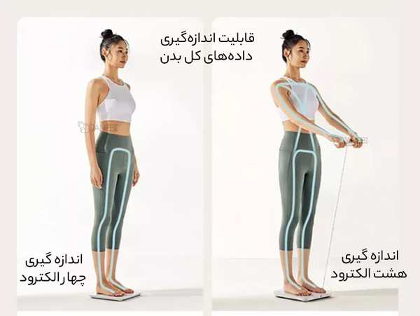 ترازوی هوشمند بادی آنالیز شیائومی Xiaomi Mijia XMTZC01YM Eight Electrode Body Fat Scale - تصویر 15