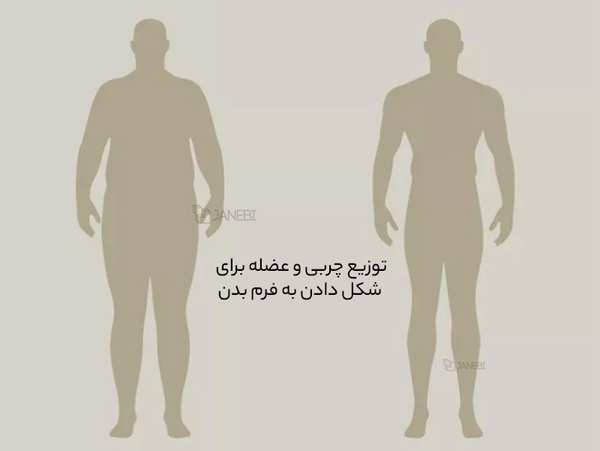 ترازوی هوشمند بادی آنالیز شیائومی Xiaomi Mijia XMTZC01YM Eight Electrode Body Fat Scale - تصویر 9