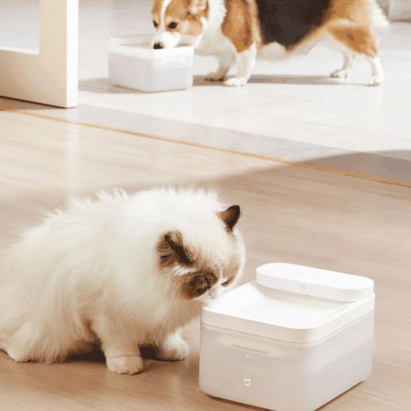 ظرف آب هوشمند بی سیم حیوانات خانگی میجیا شیائومی XWWF02MG