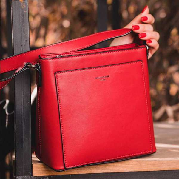 کیف دوشی مدل David Jones cm5860 دیوید جونز