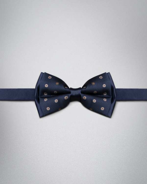 پاپیون مردانه کروم 4