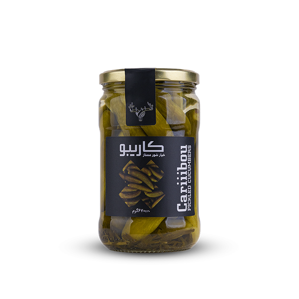 خیارشور ممتاز کاربیو 670 گرم