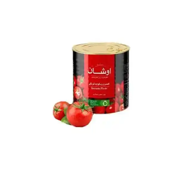 کنسرو رب گوجه فرنگی اوشان 800 گرم