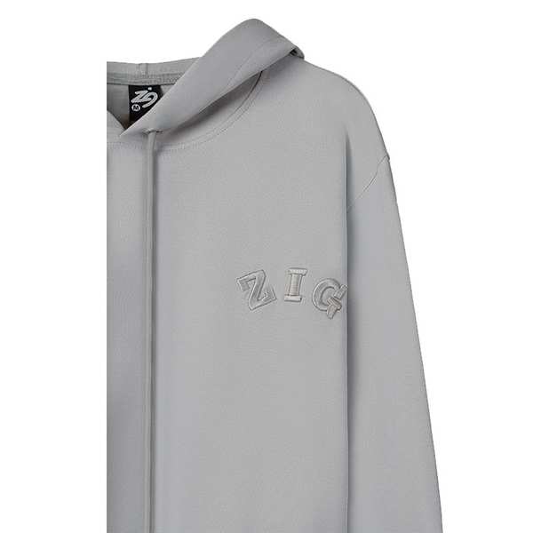 هودی مردانه طوسی روشن زیگ zig مدل basic comfort کد371 - تصویر 3
