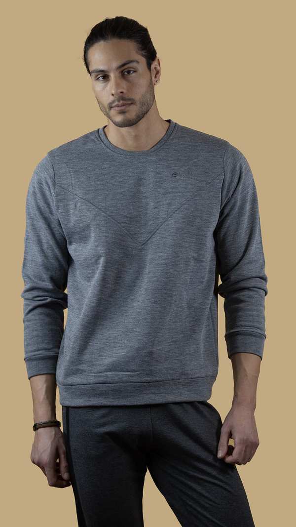 سویشرت ورزشی مردانه 300035 برندس Brands