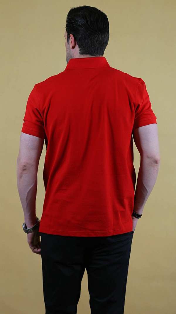 پولوشرت مردانه 70038 برندس Brands - تصویر 2