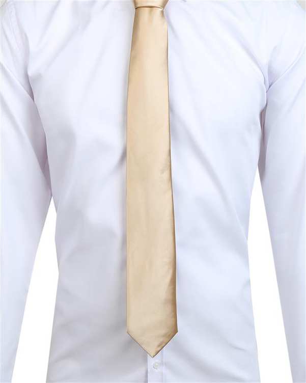 ​کراوات مردانه ساتن بژ زاگرس پوش