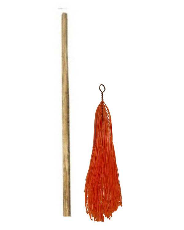 جارو شهرداری