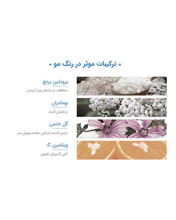 رنگ مو بلوند غلیظ روشن نوول Nouvelle شماره 8.0 حجم 100ml - تصویر 5