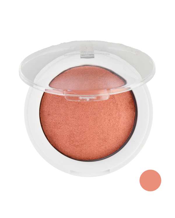 رژگونه تراکوتا زویا Zoya کد ZT05