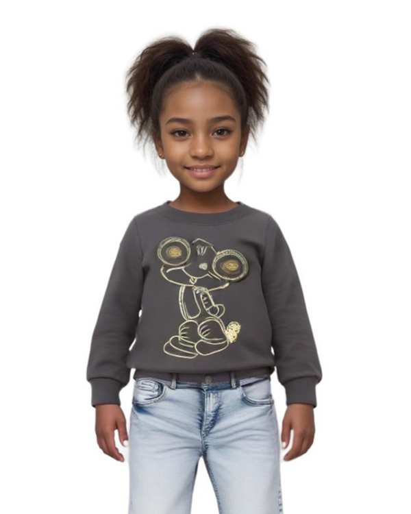 سویشرت دخترانه طوسی تیره هومنیتی Whomanity مدل WYKGSW2029