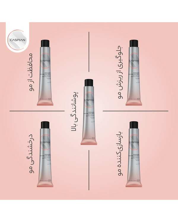 رنگ مو شرابی تیره کاسپین Caspian شماره 5.66 حجم 100ml - تصویر 2