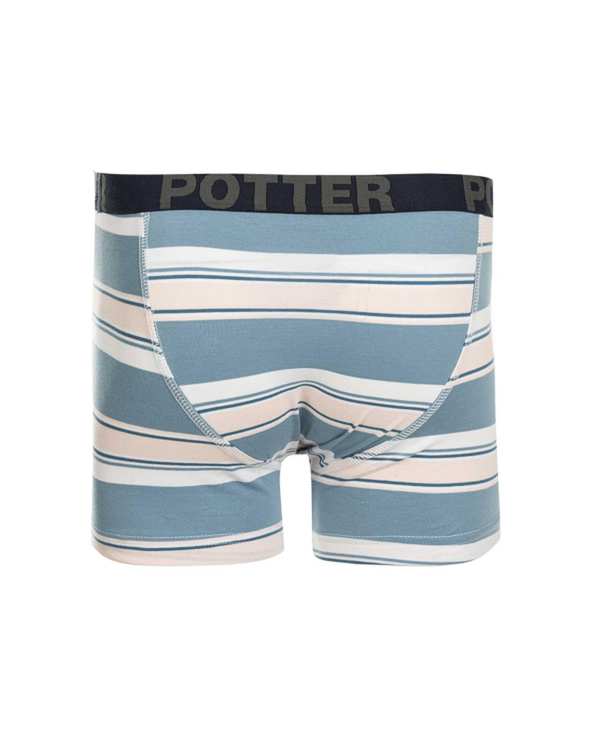 شورت مردانه پادار آبی پاتر Potter کد 72 - تصویر 2