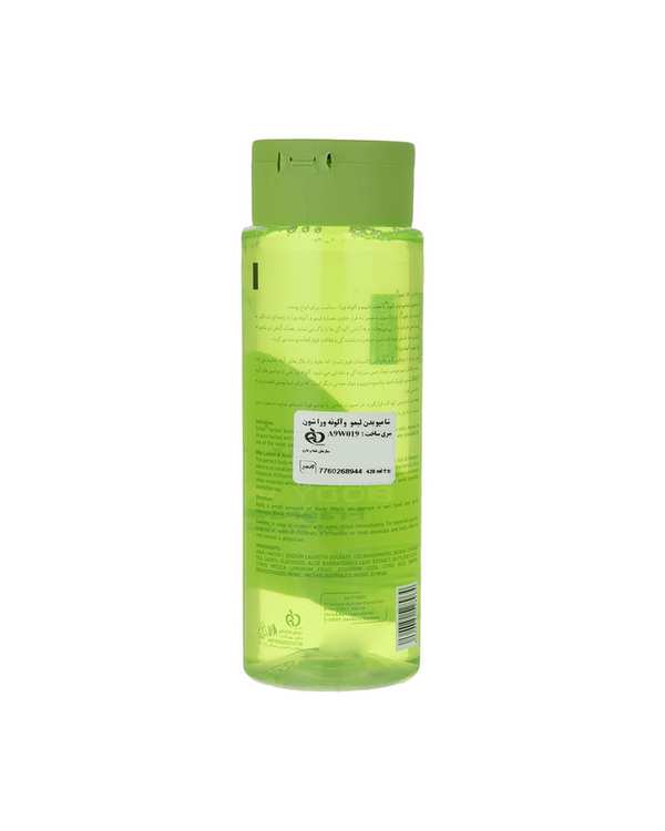 شامپو بدن لیمو و آلوئه ورا شون Schon مدل Aloevera and Lemon حجم 420ml - تصویر 2