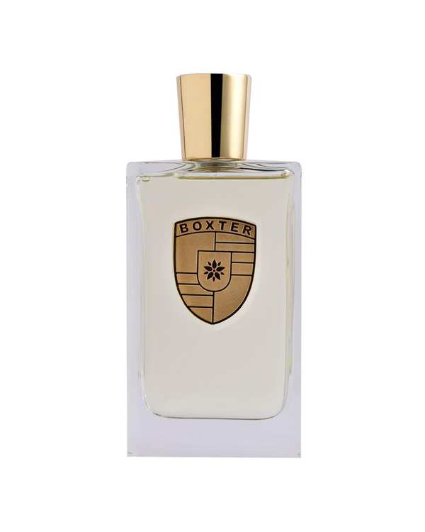 عطر مردانه باکستر Boxter مدل سویفت Swift حجم 100ml