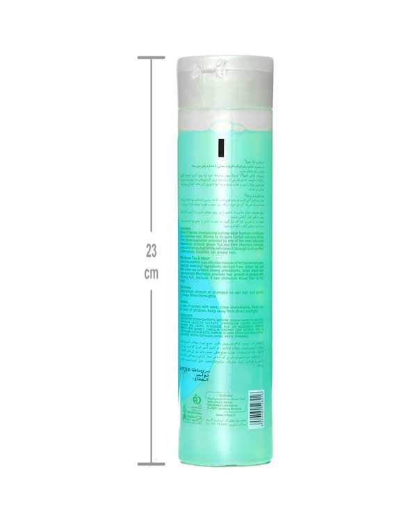 شامپو مو چای سبز و نعناع شون Schon مناسب موهای چرب حجم 400ml - تصویر 2