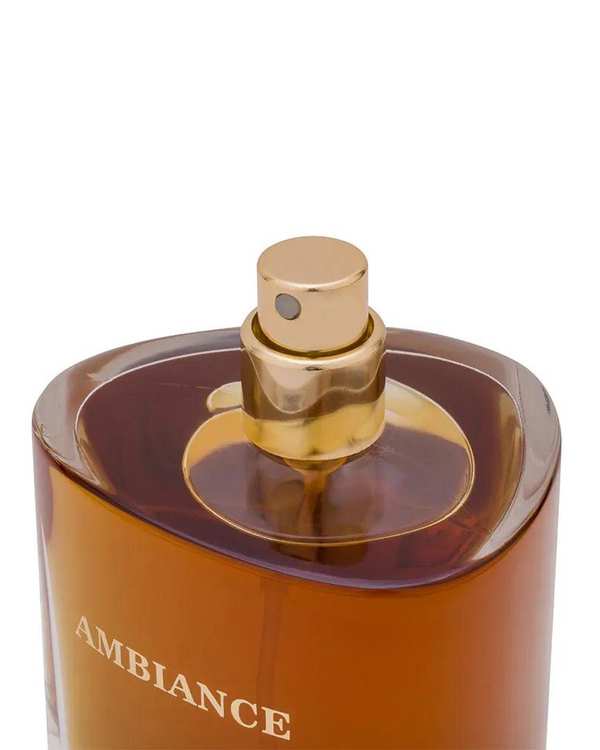 عطر نیش هاوس Niche House مدل آمبینس Ambiance حجم 100 میلی لیتر - تصویر 3
