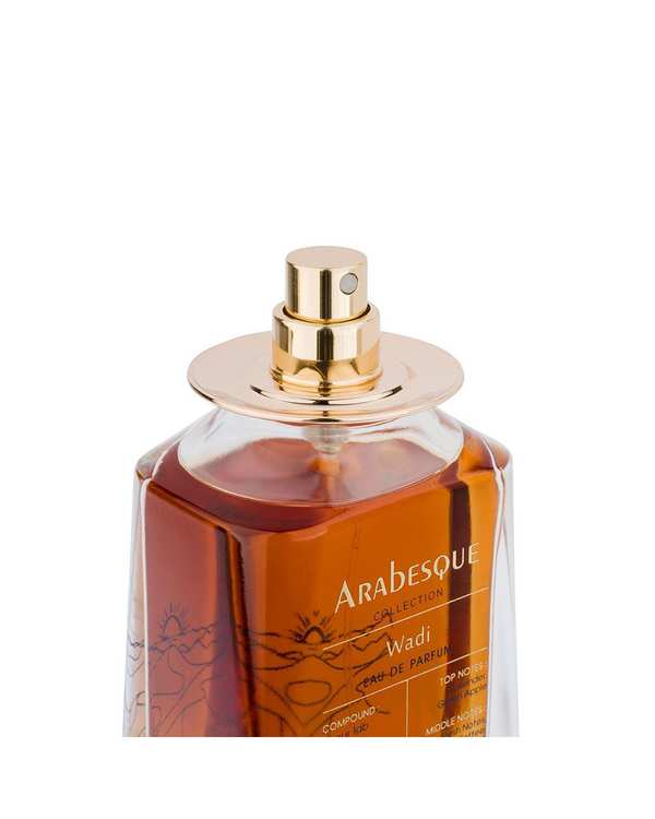 عطر مردانه عطر رلیک Relic مدل وادی Wadi حجم 100 میلی لیتر برند Relik - تصویر 3