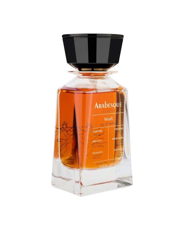 عطر مردانه عطر رلیک Relic مدل وادی Wadi حجم 100 میلی لیتر برند Relik - تصویر 4
