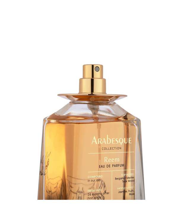 عطر مردانه عطر رلیک Relic مدل ریم Reem حجم 100 میلی لیتر برند Relik - تصویر 2