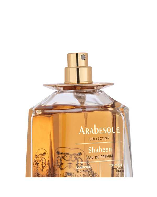 عطر مردانه عطر رلیک Relic مدل شاهین Shaheen حجم 100 میلی لیتر برند Relik - تصویر 2