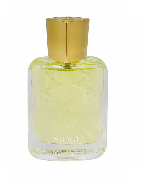 عطر جیبی مردانه برندینی Shagya EDP 33ml Brandini