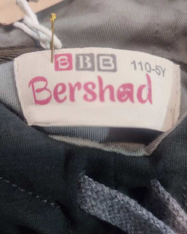 هودی پسرانه سبز برشاد Bershad مدل R104 - تصویر 2