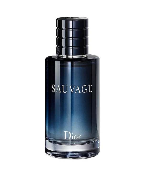 عطر مردانه فراگرنس پرشیا Sauvage Dior EDP 100ml Fragrance persian 116