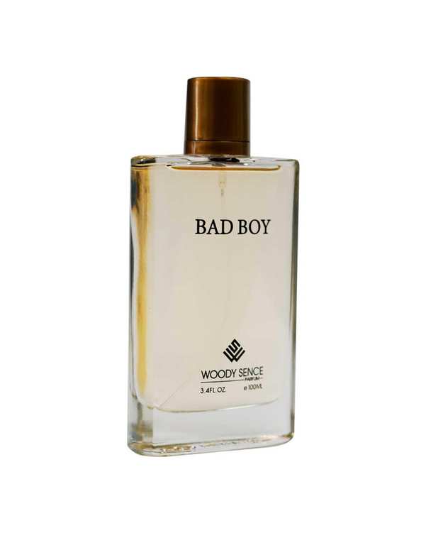 عطر مردانه وودی سنس Woody Sence مدل Bad Boy حجم 100ml