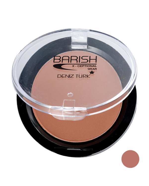 رژگونه مات باریش Barish شماره 503