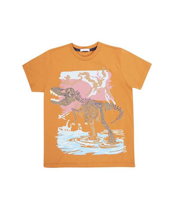 ست لباس پسرانه ست تی شرت و شلوارک پسرانه فیورلا Fiorella مدل t-rex on water کد 45073 - تصویر 2