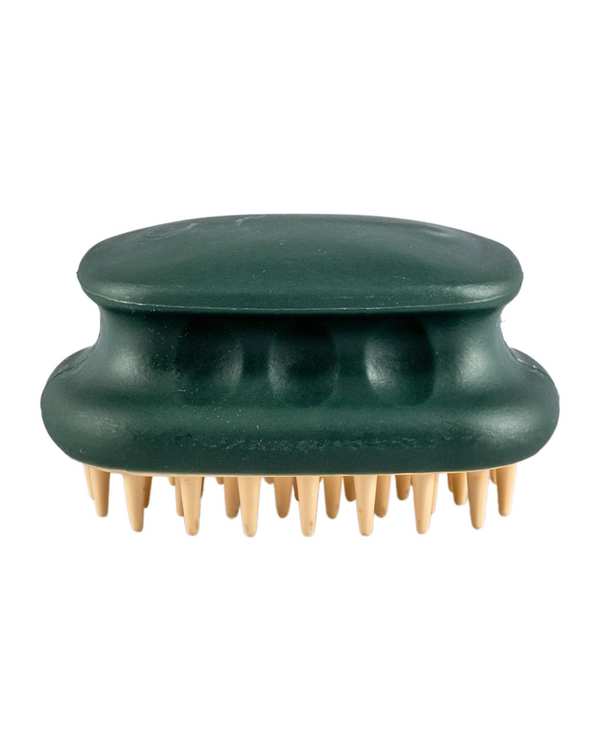 براش سر شور و ماساژور کف سر سیلیکونی دکتر مورنینگ ارسال رنگ رندوم