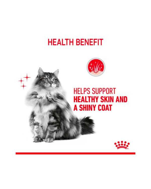پوچ گربه مخصوص پوست و مو رویال کنین Royal Canin وزن 85 گرم - تصویر 2