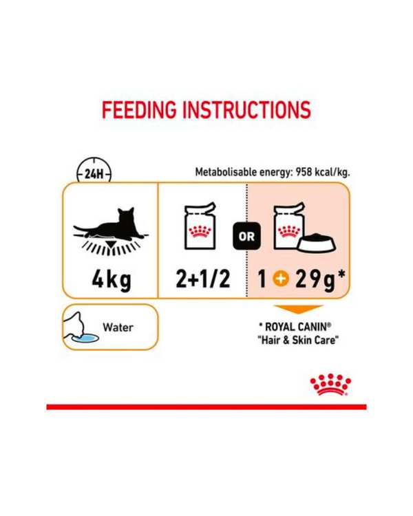 پوچ گربه مخصوص پوست و مو رویال کنین Royal Canin وزن 85 گرم - تصویر 3