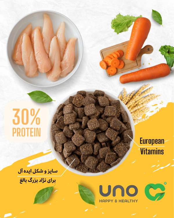 غذای سگ نژاد بزرگ بالغ اونو UNO بسته 10 کیلوگرم - تصویر 2