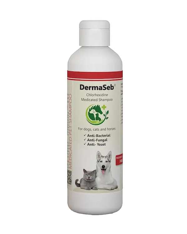 شامپو درمانی سگ و گربه و اسب درماسب Dermaseb حاوی کلرهگزیدین و کتوکونازول 250ml