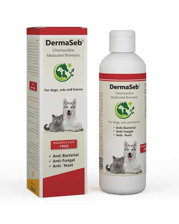 شامپو درمانی سگ و گربه و اسب درماسب Dermaseb حاوی کلرهگزیدین و کتوکونازول 250ml - تصویر 2