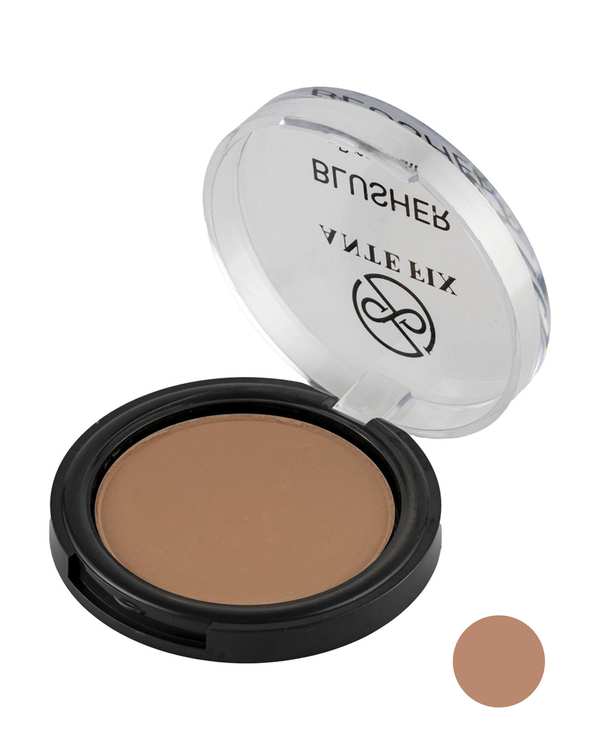 رژگونه آنتی فیکس Anti Fix مدل Dream Matt شماره 204