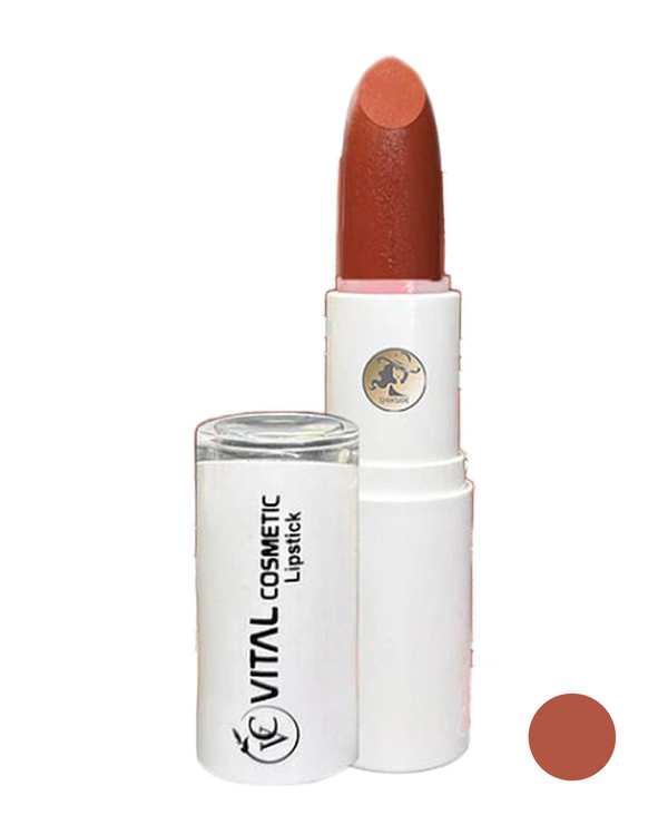 رژ لب جامد ویتال کازمتیک Vital Cosmetic شماره L11 وزن 5 گرم
