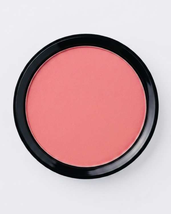 رژگونه پودری مات کاسه بزرگ باربین BARBIN سری MULTI EFFECT EYESHADOWشماره R1