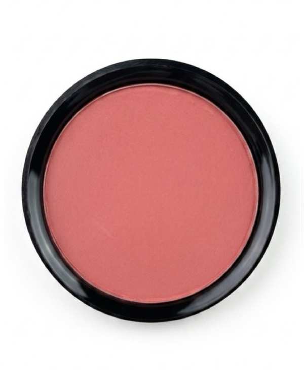 رژگونه پودری مات کاسه بزرگ باربین BARBIN سری MULTI EFFECT EYESHADOW شماره R9