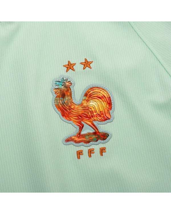 تیشرت ورزشی مردانه سبز پاستلی پانیل Panil مدل فرانسه Away 2026 - تصویر 2
