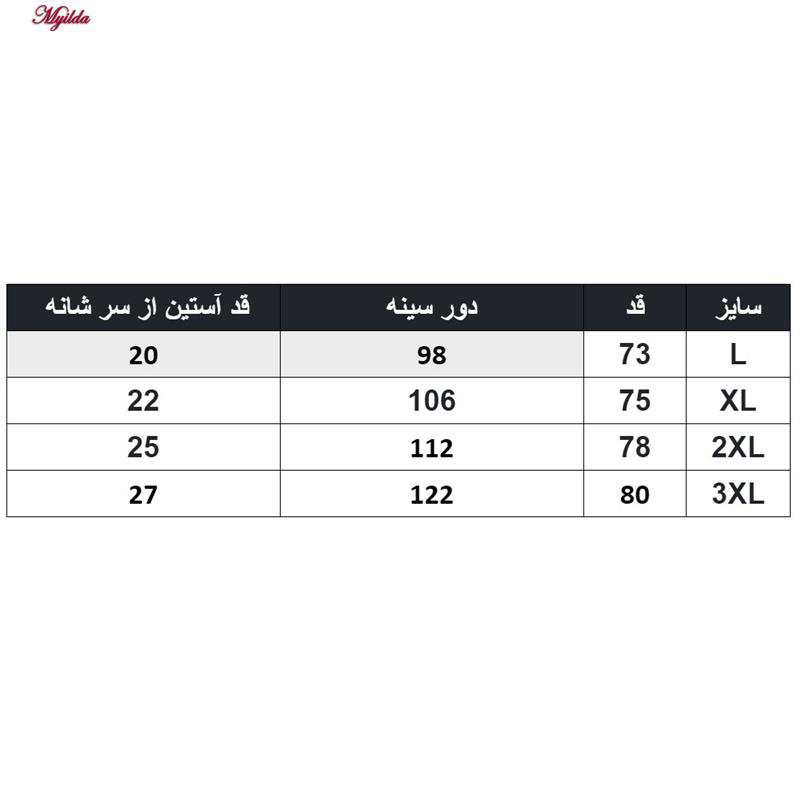 تیشرت آستین کوتاه مردانه مدل rai01 ماییلدا