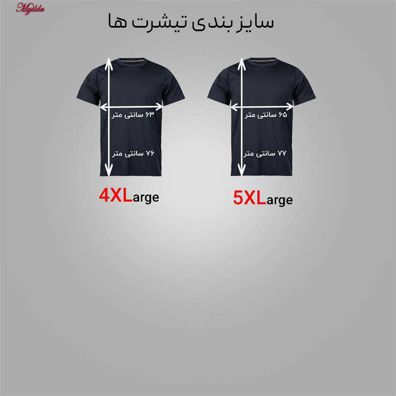 تیشرت آستین کوتاه مردانه مدل 1030_N1 بسته 2 عددی ماییلدا