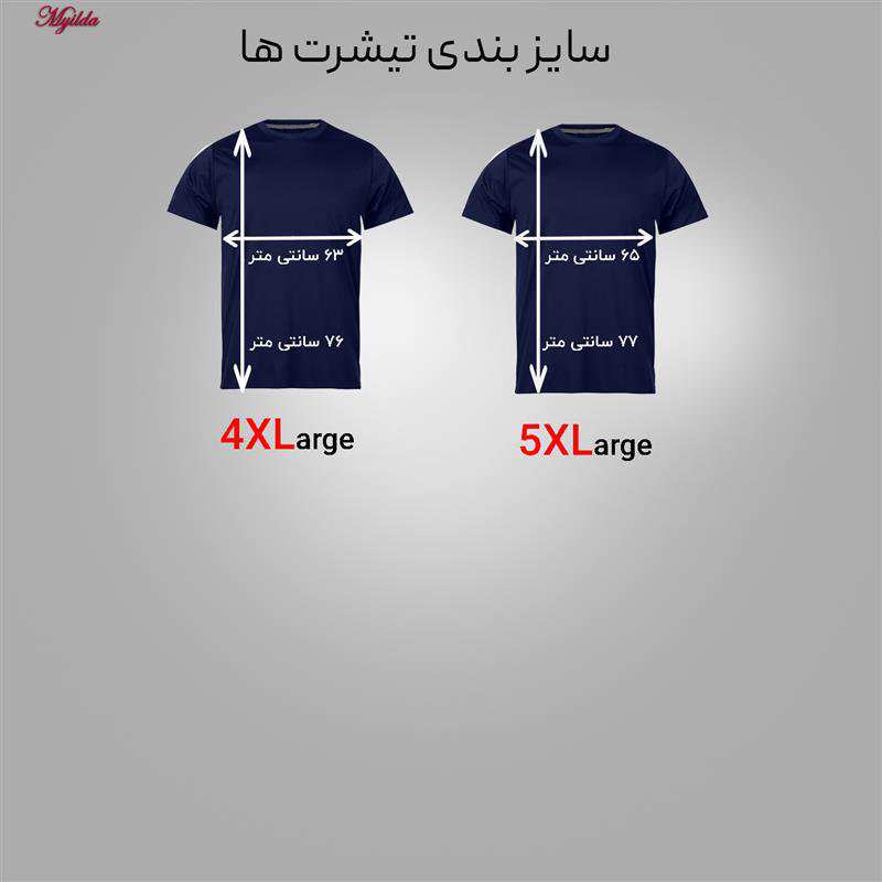 تیشرت آستین کوتاه مردانه رنگ سرمهای مدل NC1-23-03 ماییلدا